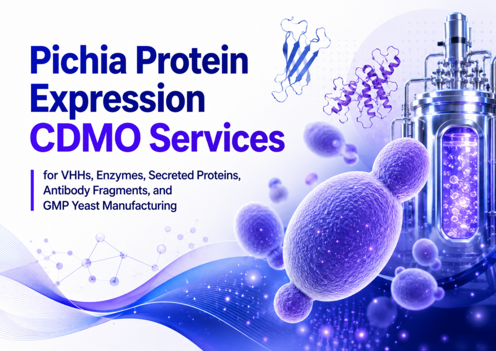 Bold biotech banner for “Pichia Protein Expression CDMO Services,” featuring large blue and purple text on a white background, with stylized yeast cells, protein structure graphics, and a stainless-steel bioreactor to represent VHHs, enzymes, secreted proteins, antibody fragments, and GMP yeast manufacturing.