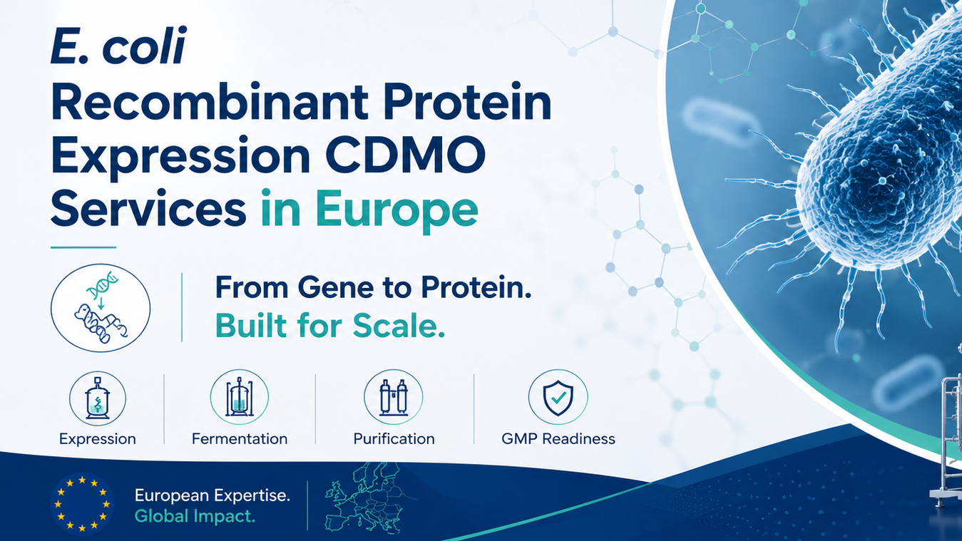 Sophia CDMO advertisement for E. coli Recombinant Protein Expression CDMO Services in Europe, featuring a blue E. coli bacterium, bioreactor equipment, molecular graphics, and icons for expression, fermentation, purification, and GMP readiness with the slogan “From Gene to Protein. Built for Scale."