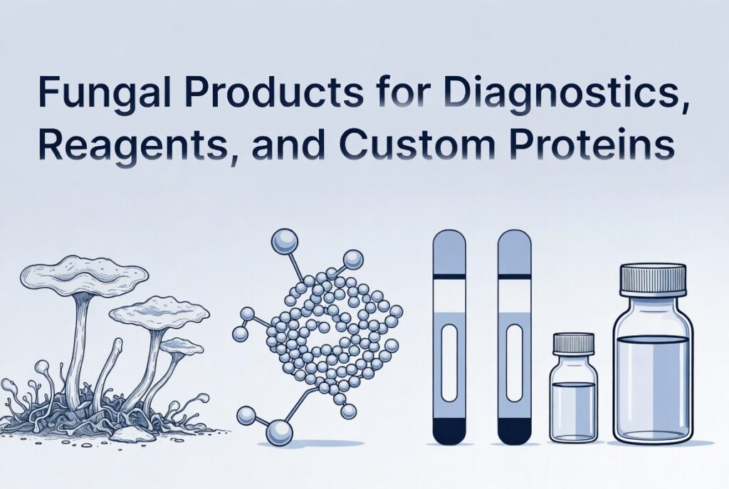 Clean professional biotech advertisement graphic in blue and white tones. Headline reads “Fungal Products for Diagnostics, Reagents, and Custom Proteins.” Minimalist illustration shows stylized fungi, protein molecules, test tubes, and a reagent bottle.