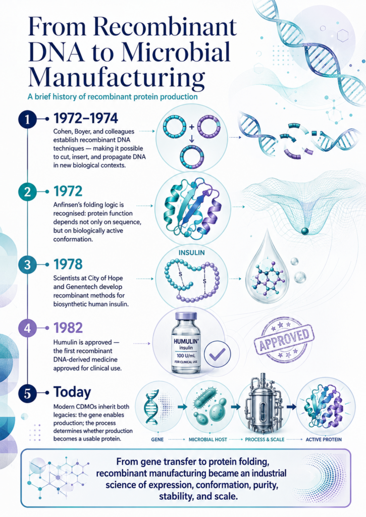 Scientific history infographic tracing recombinant biotechnology from Cohen and Boyer’s recombinant DNA work in 1972–1974 through Anfinsen’s protein-folding research, recombinant insulin development in 1978, Humulin approval in 1982, and modern microbial CDMO manufacturing.