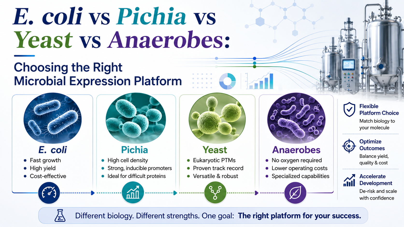 E. coli vs Pichia vs Yeast vs Anaerobes: Choosing the Right Microbial Expression Platform
