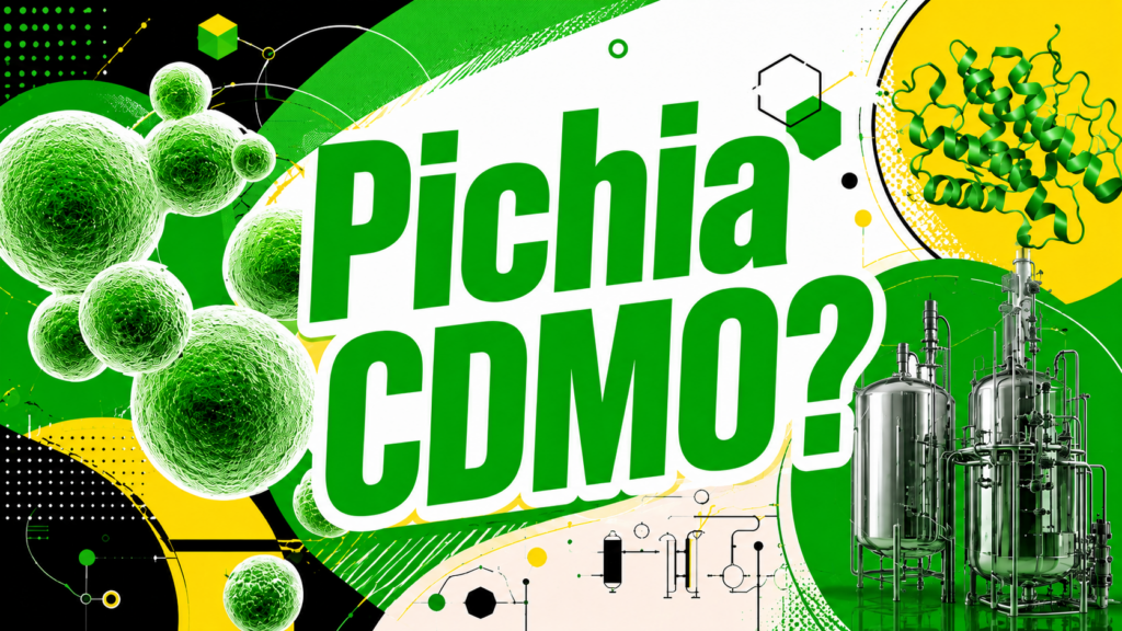Bold pop-art biotechnology banner with large green text reading “Pichia CDMO?” surrounded by stylized budding yeast cells, a green protein ribbon structure, stainless-steel fermentation vessels, and abstract scientific geometry. The high-contrast design uses vivid green, lemon yellow, white, and black with dots, arcs, molecular outlines, and bioprocess-diagram elements.