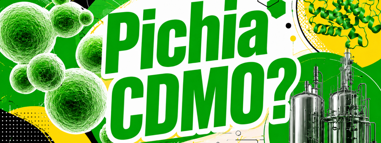 How to Choose the Best Pichia CDMO for Recombinant Protein Production